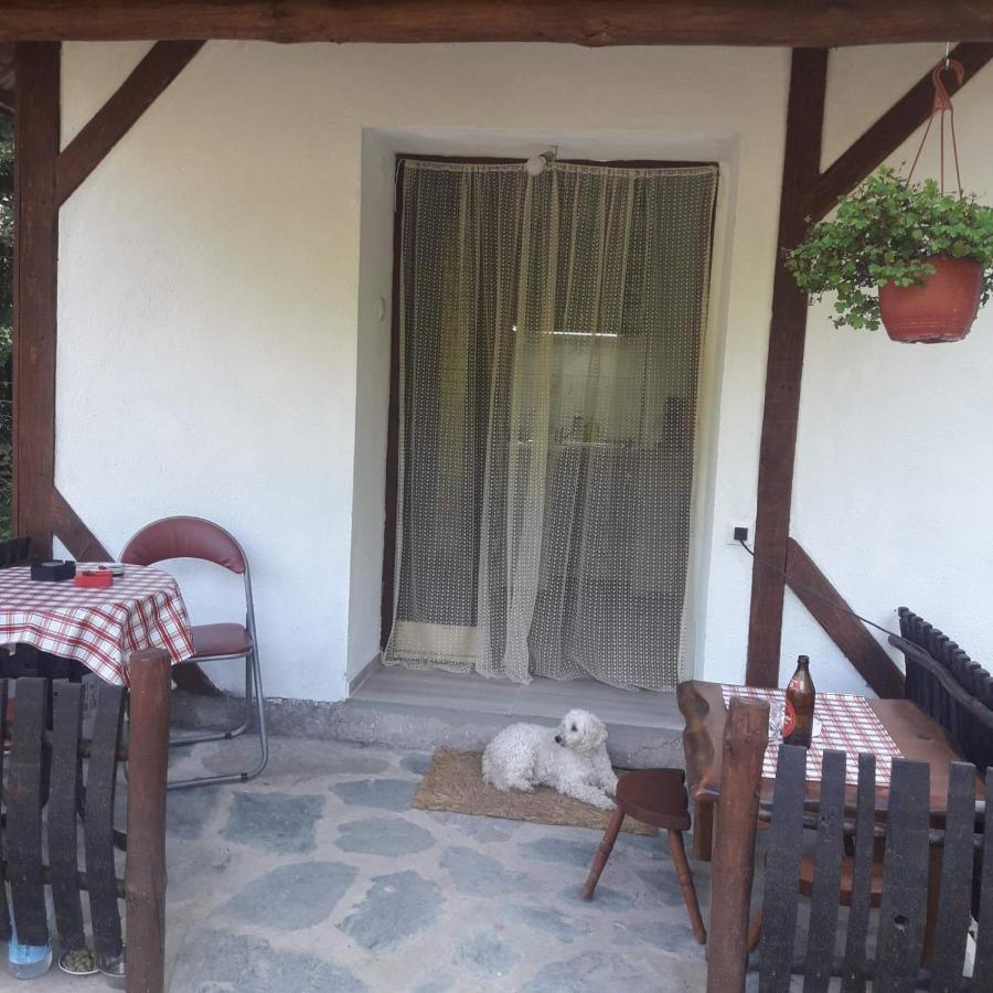 Sljivik Nis Exterior foto